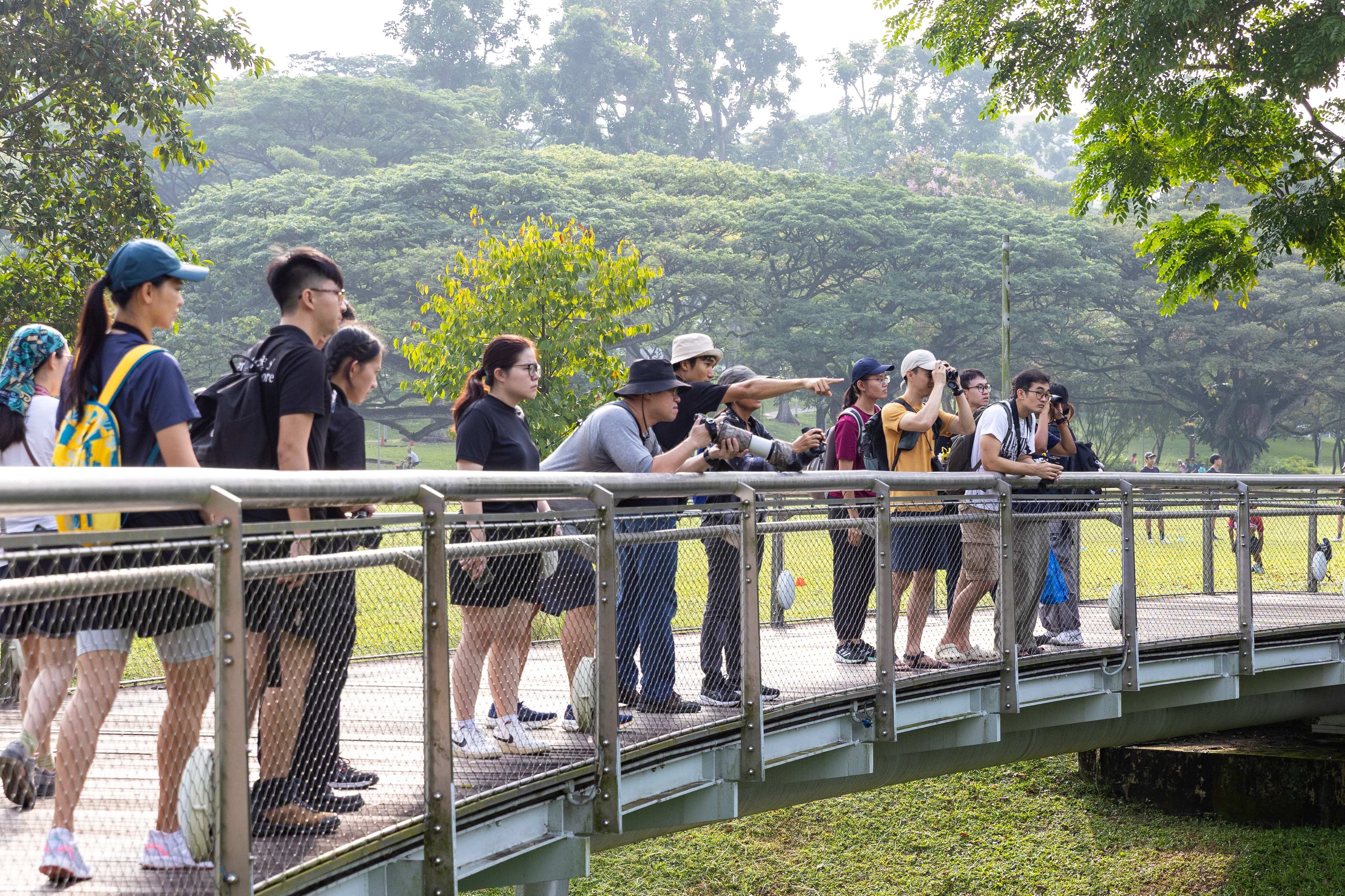Birding with the Bird Society of Singapore (Go Green SG 2026)