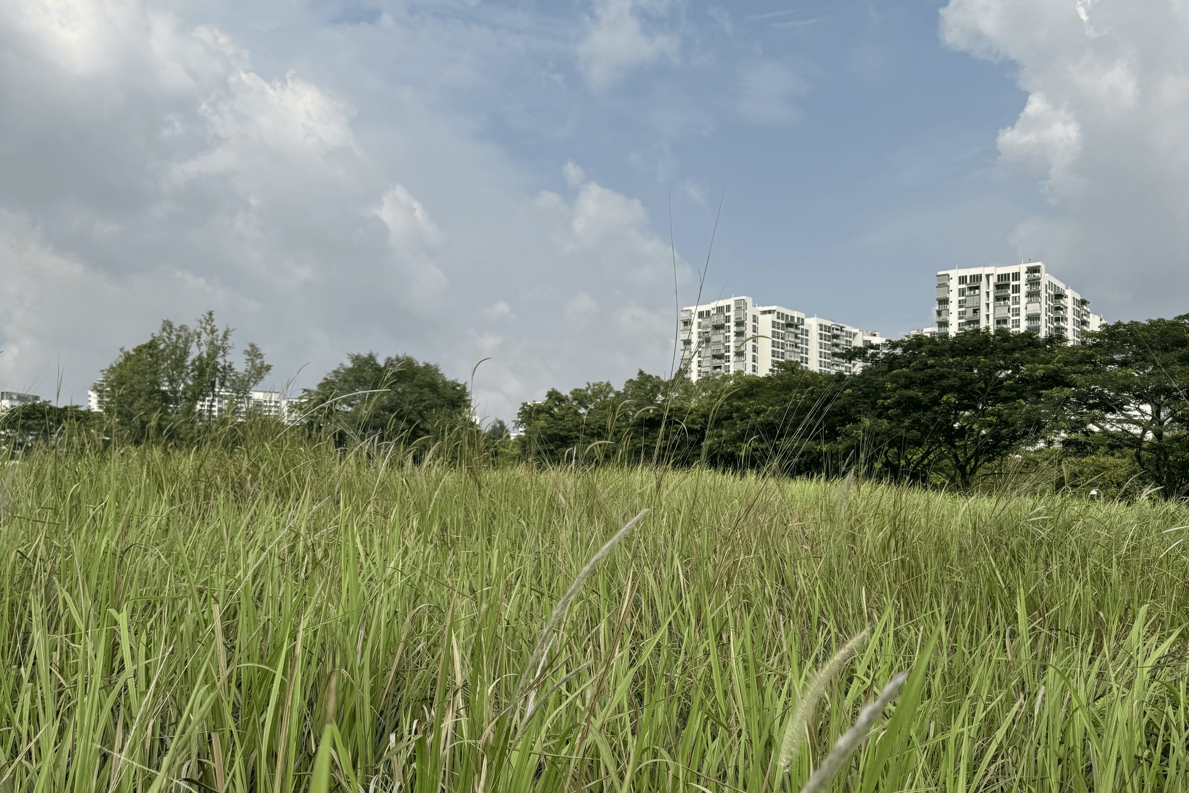 October Big Day 2026: Jurong Lake Gardens