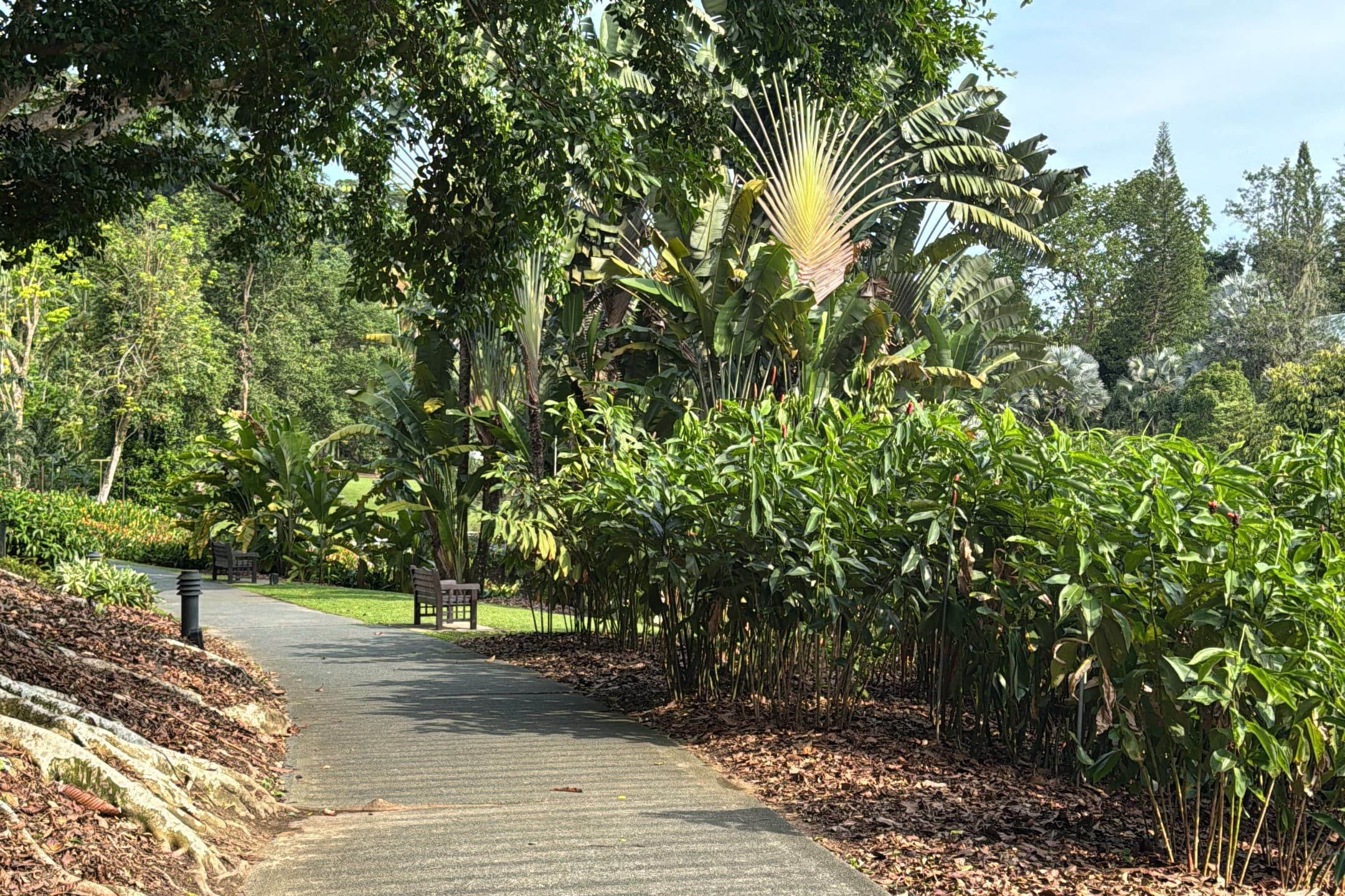 October Big Day 2026: Singapore Botanic Gardens
