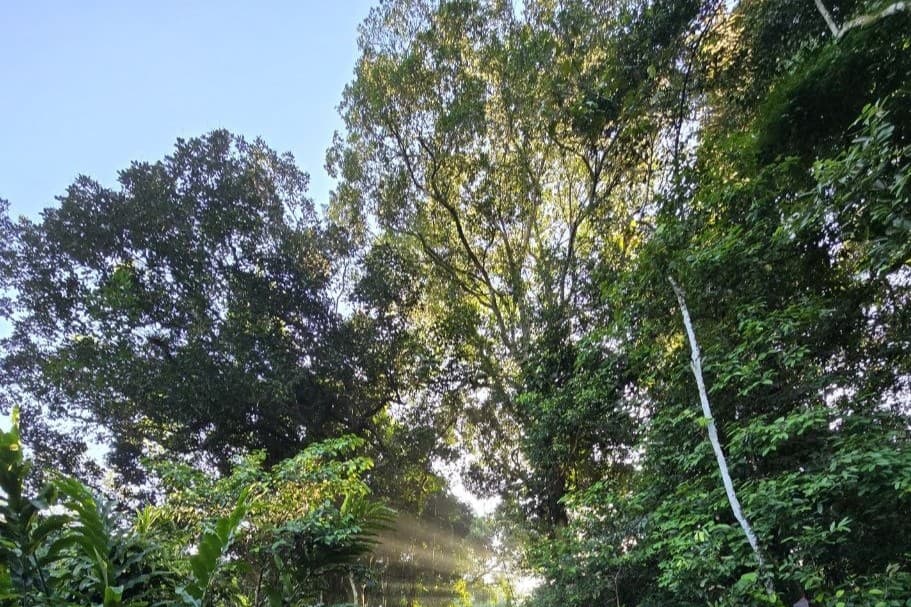 October Big Day 2026: Thomson Nature Park