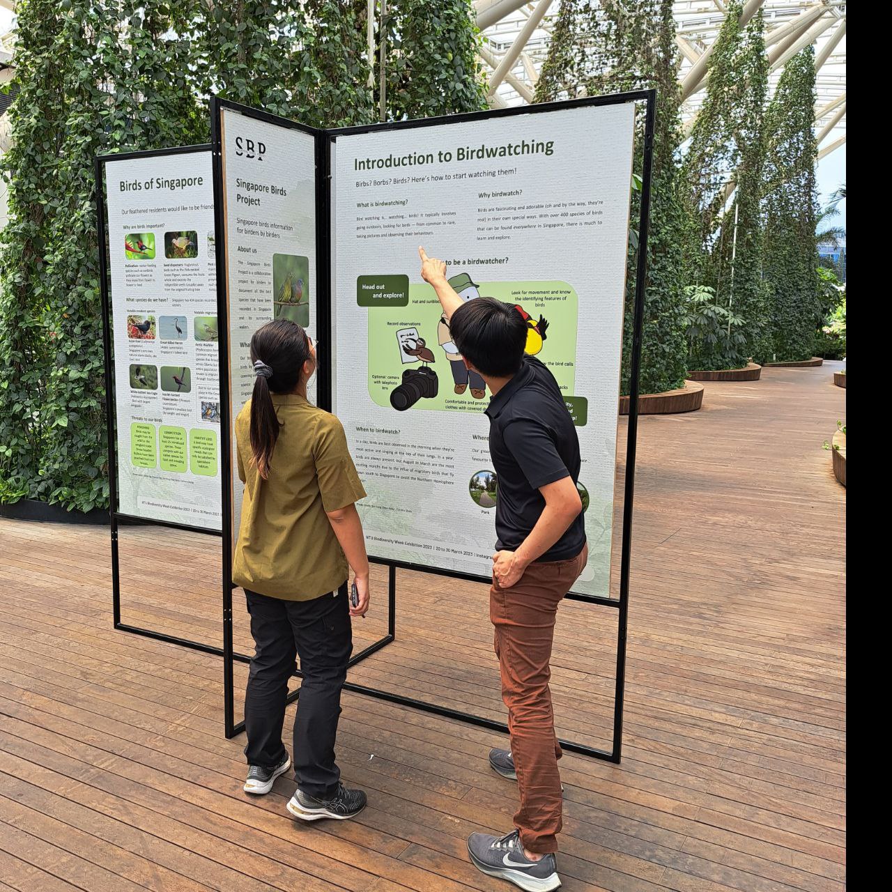 Whoa, Singapore Birds Project, who are these cool guys? How can I start birdwatching to be as cool as them? Photo credit: Sandra Chia