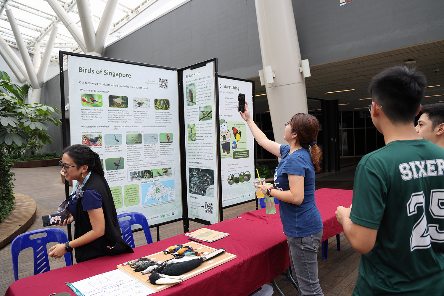 Scanning the QR codes to the best ever resource available on ALL of Singapore's birds! Photo credit: Isaac Hong